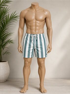 Urban Outfitters Sage Green & Cream Vertical Stripe Swim Trunks